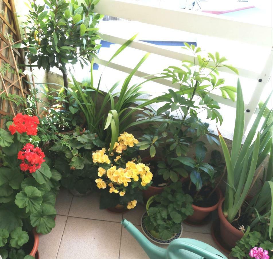 Vivienda Caseiro Ουρένσε Εξωτερικό φωτογραφία